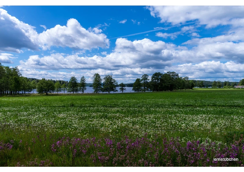 bunte Wiesen am See.pdf